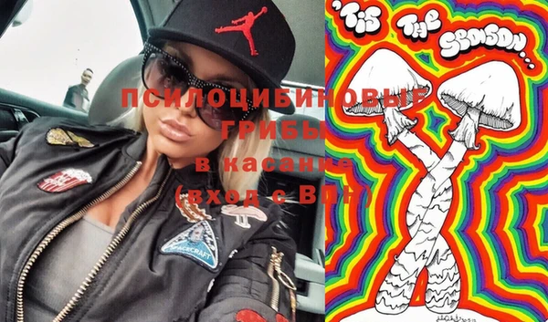 твердый Ладушкин